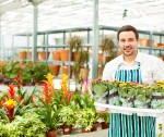 stock-photo-29044632-male-florist-working-in-garden-center-1-150x126